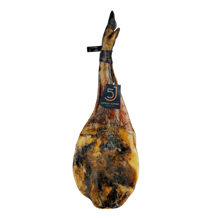 paleta5j2